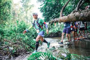 BIB: 
                            <button type="button" onclick="openModal(25460178)" class="btn btn-primary btn-sm float-right btn-popup" data-toggle="modal" data-target=".modal-high-quality">
                        <i class="fas fa-shopping-cart"></i> Add to Cart
                    </button>
                                            <button type="button" onclick="isThisMe(25460178, true)" class="btn btn-success btn-sm float-right btn-popup btn-isme hidden" data-toggle="tooltip" data-placement="bottom" title="นี่คือรูปของคุณใช่ไหม คลิกที่นี่เพื่อเอาเข้าอัลบั้ม">
                        <i class="fas fa-plus"></i> Add to album
                    </button>
                    <button type="button" onclick="isThisMe(25460178, false)" class="btn btn-warning btn-sm float-right btn-popup btn-isnotme hidden">
                        <i class="fas fa-ban"></i> Remove from album
                    </button>